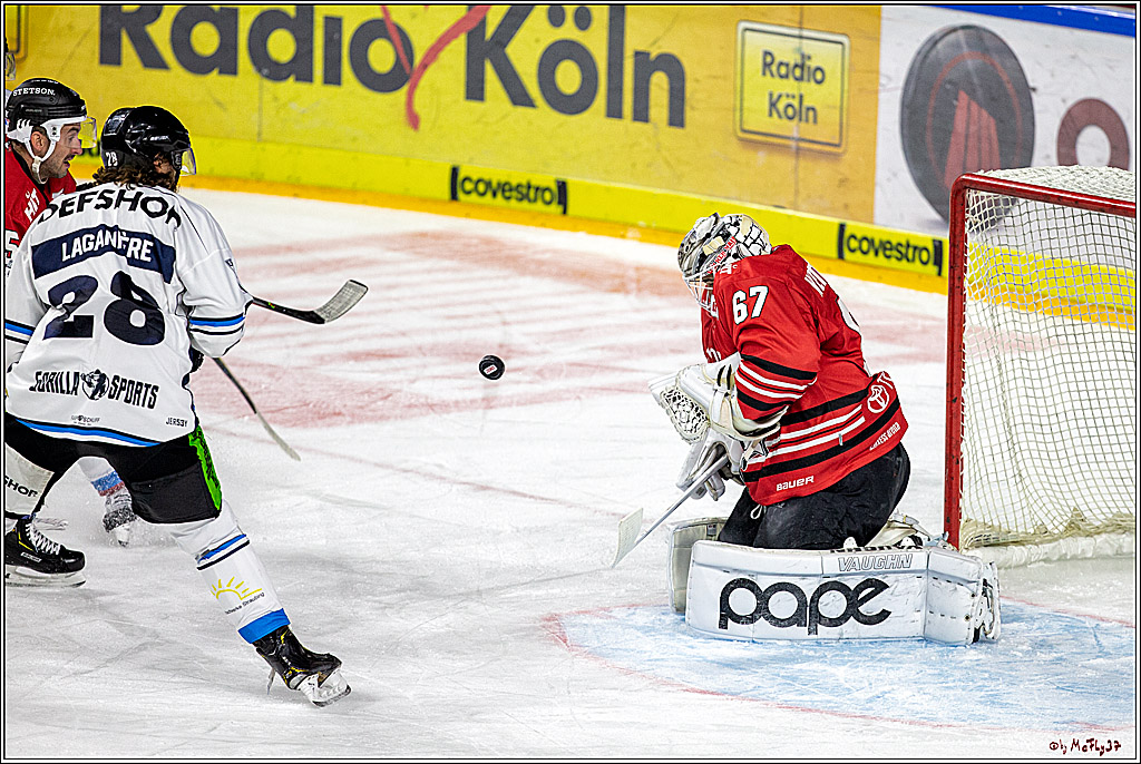 DEL; Koelner Haie - Straubing Tigers; Koeln, 17.11.2019